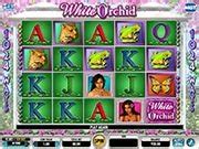 Play White Orchid Slot Machine by IGT Free Online.